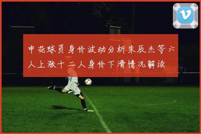 申花球员身价波动分析朱辰杰等六人上涨十二人身价下滑情况解读